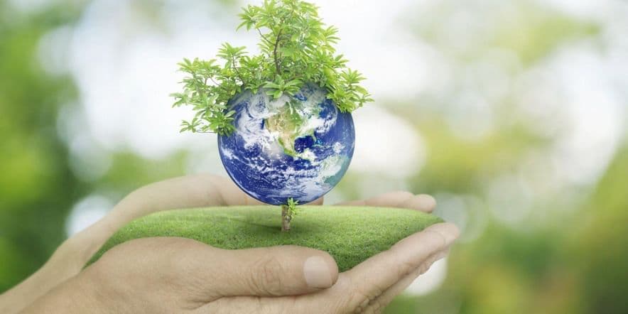 Основное изображение для события «Всемирный день окружающей среды»