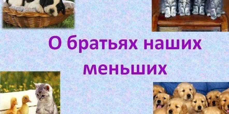 Основное изображение для события Экологический урок «О братьях наших меньших»