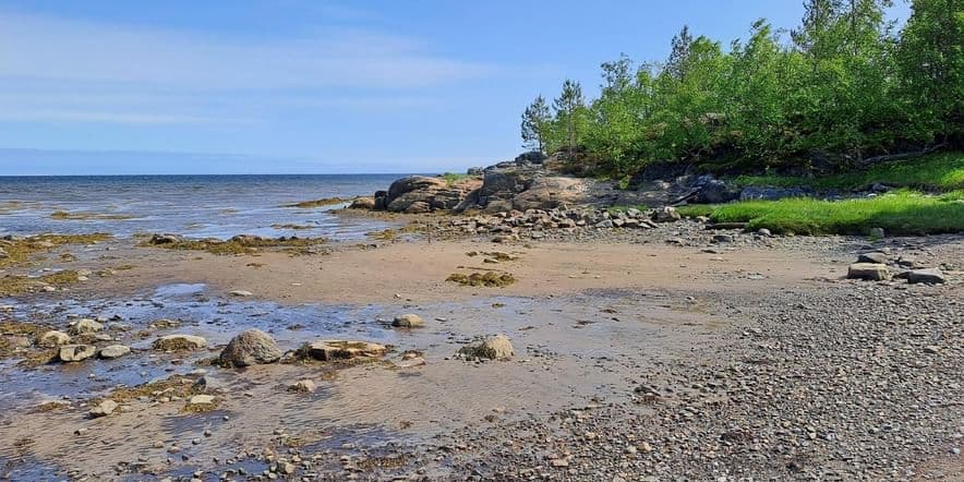 Основное изображение для события Экскурсия «Белое море: флора и фауна»