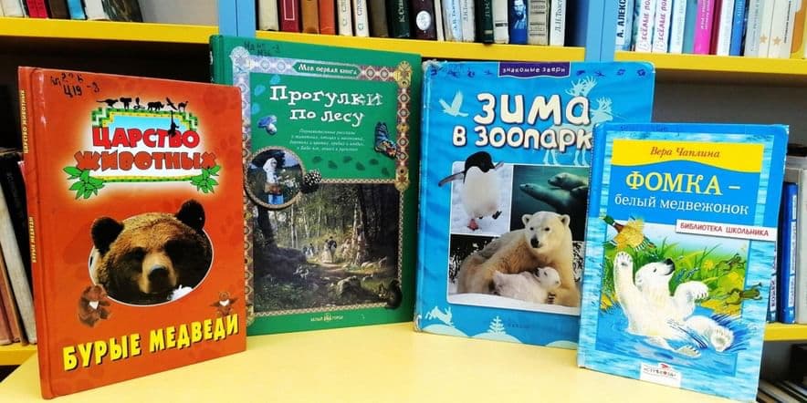 Основное изображение для события Познавательно-игровая программа «Мишка — самый русский зверь»