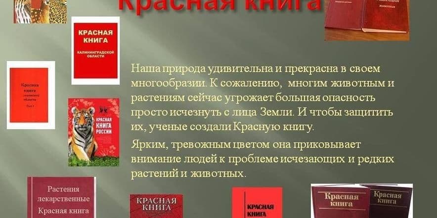 Основное изображение для события Буклет «По страницам Красной книги»