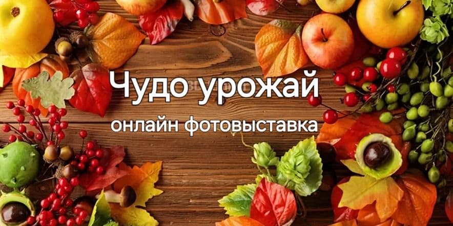 Основное изображение для события Онлайн фотовыставка «Чудо урожай»