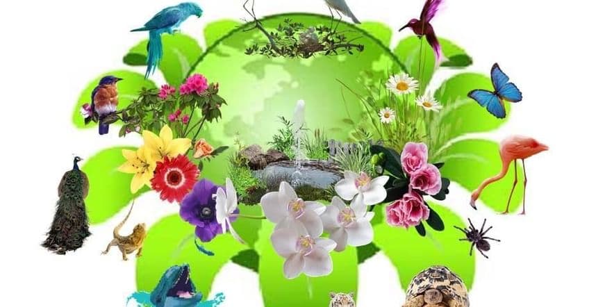 Основное изображение для события Экологическая карусель «С природой в мире будем жить»