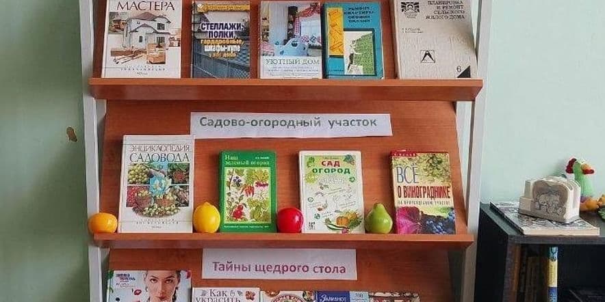 Основное изображение для события Книжная выставка «Дом вести, не лапти плести»