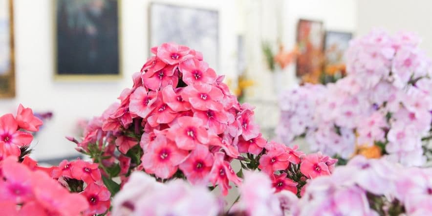 Основное изображение для события Выставка живых цветов «Цветы июня»