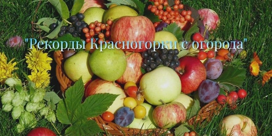 Основное изображение для события «Рекорды Красногорки с огорода»