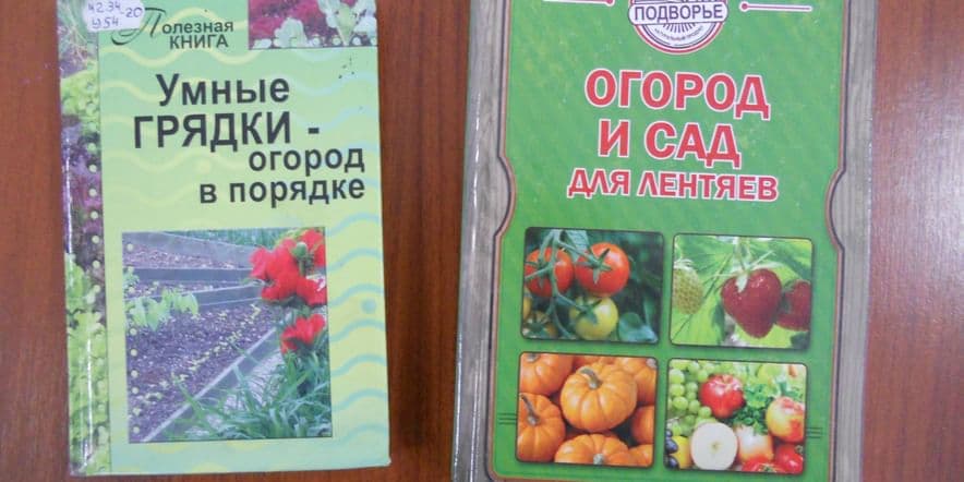 Основное изображение для события Час полезных сообщений «Секреты огородного изобилия»