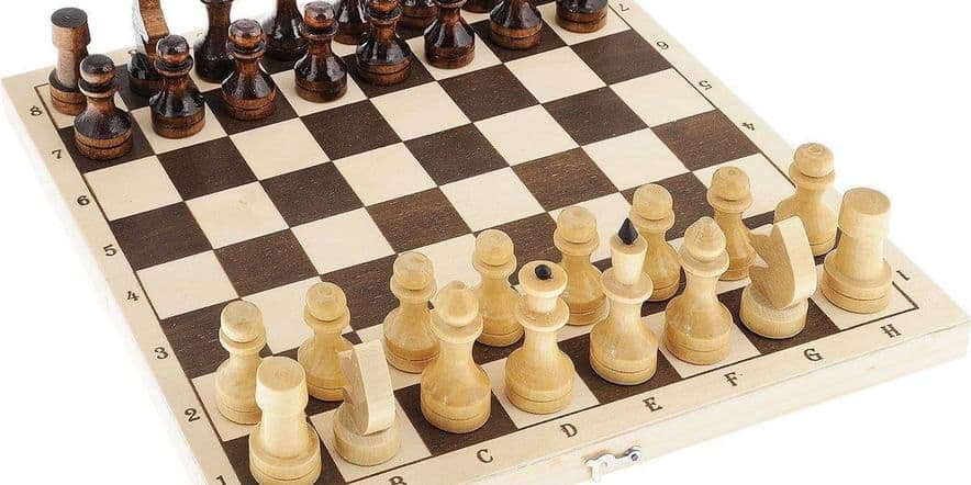 Основное изображение для события Программа «Загадки шахматных фигур»