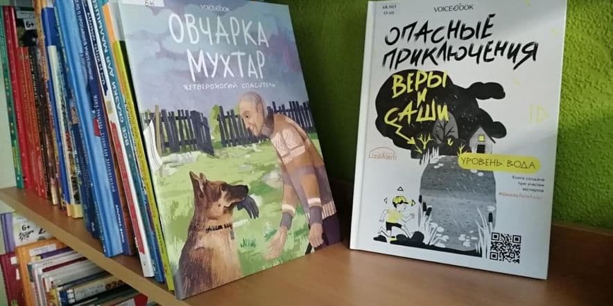 Основное изображение для события Книжная выставка «Новинки из книжной корзинки»