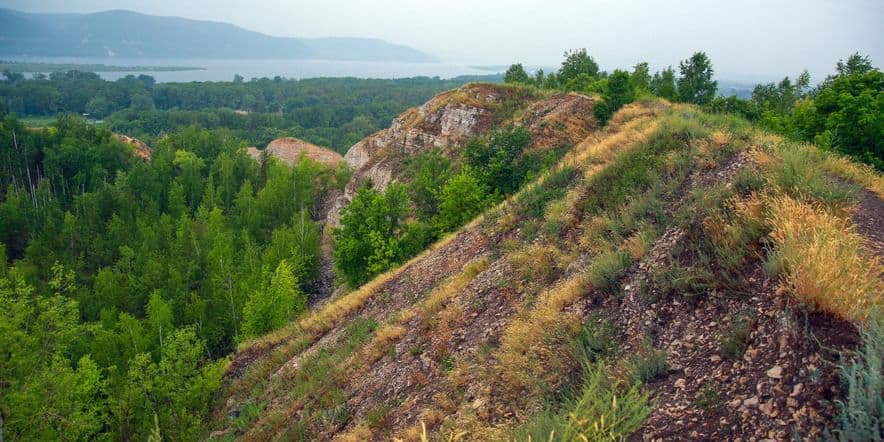 Основное изображение для учреждения Национальный парк «Самарская Лука»