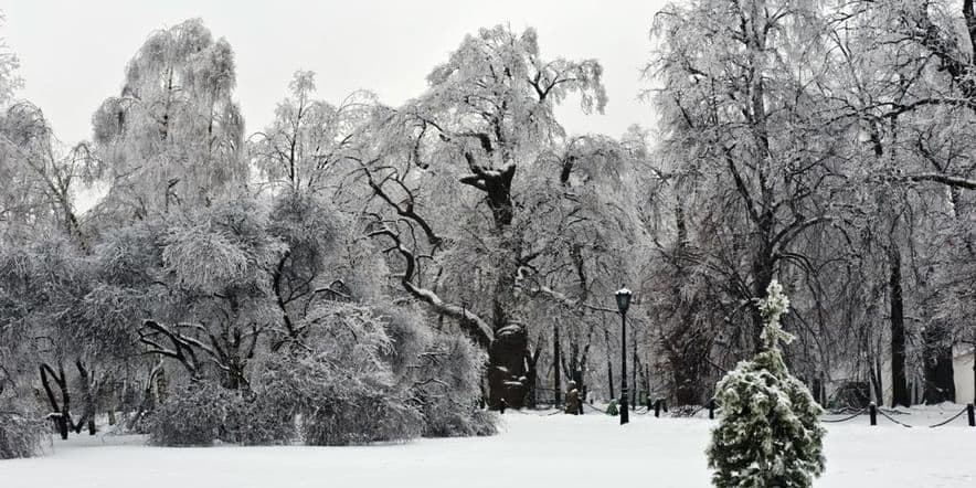 Основное изображение для события Экскурсия «Зимняя сказка в Коломенском»