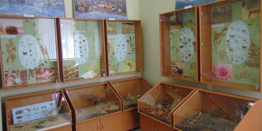 Основное изображение для события Экскурсия по залу природы Кореневского краеведческого музея