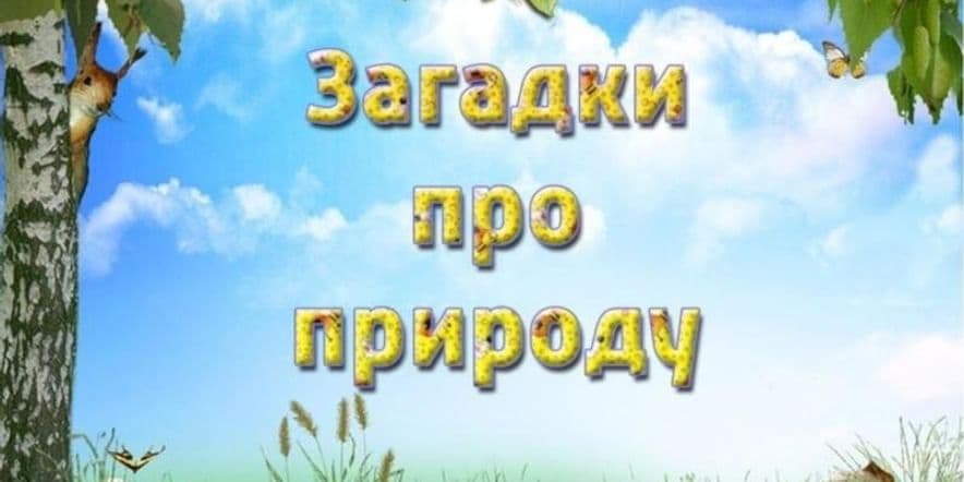 Основное изображение для события Конкурсная программа «Загадки о природе»