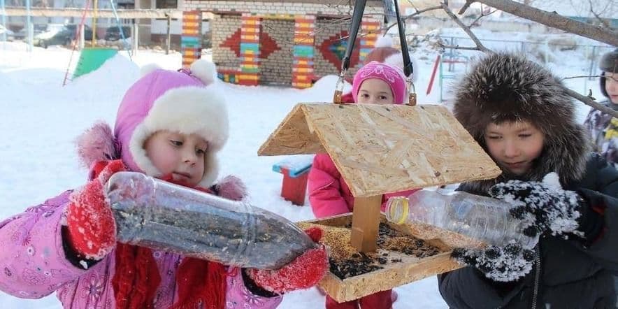 Основное изображение для события Акция «Накормите птиц зимой»