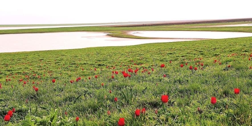 Основное изображение для события Беседа «Край родной, навек любимый»