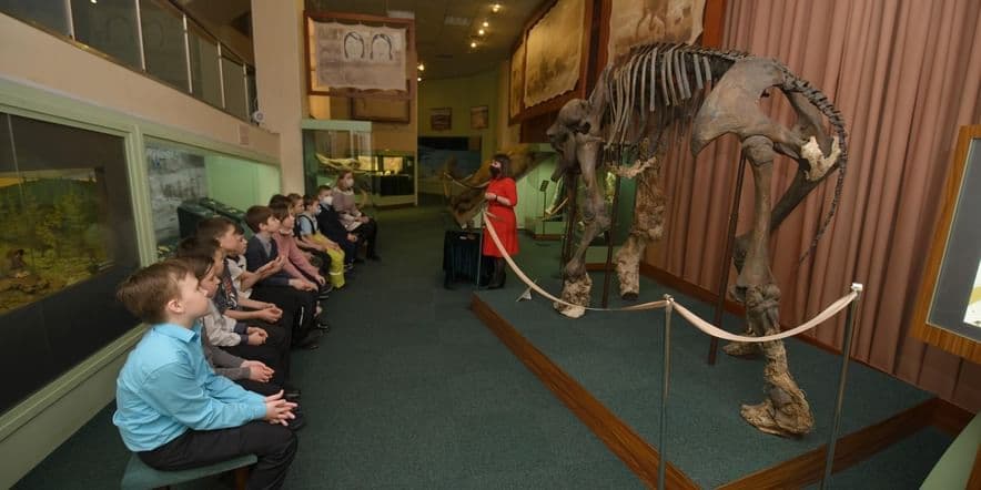 Основное изображение для события Экскурсия «История палеонтологических находок на Таймыре. Сопкаргинский мамонт»