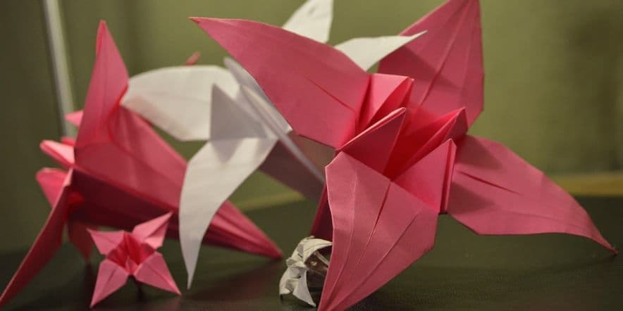 Основное изображение для события Мастер класс «Оригами»