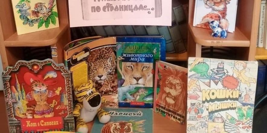 Основное изображение для события Книжная выставка «Гуляют кошки по страницам»