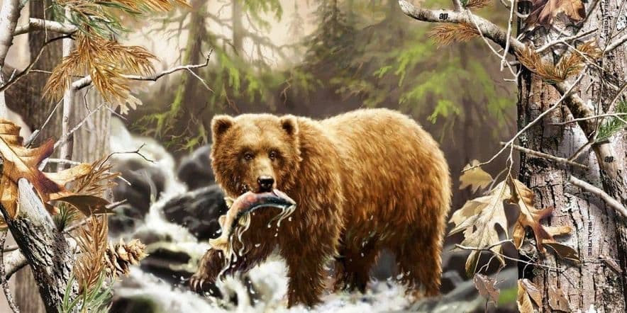 Основное изображение для события Экологический час посвященный Всемирному Дню медведя «Хозяин леса»