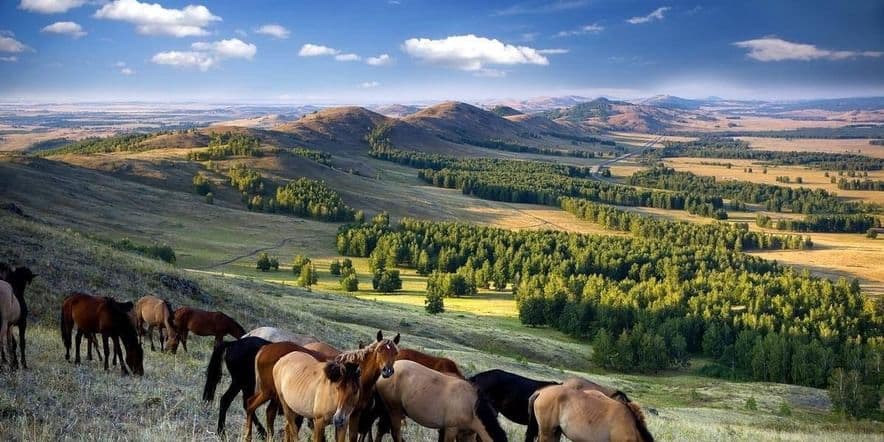 Основное изображение для события Квест «Башкортостан — мой родниковый край»