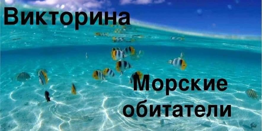 Основное изображение для события Викторина «Морские обитатели»