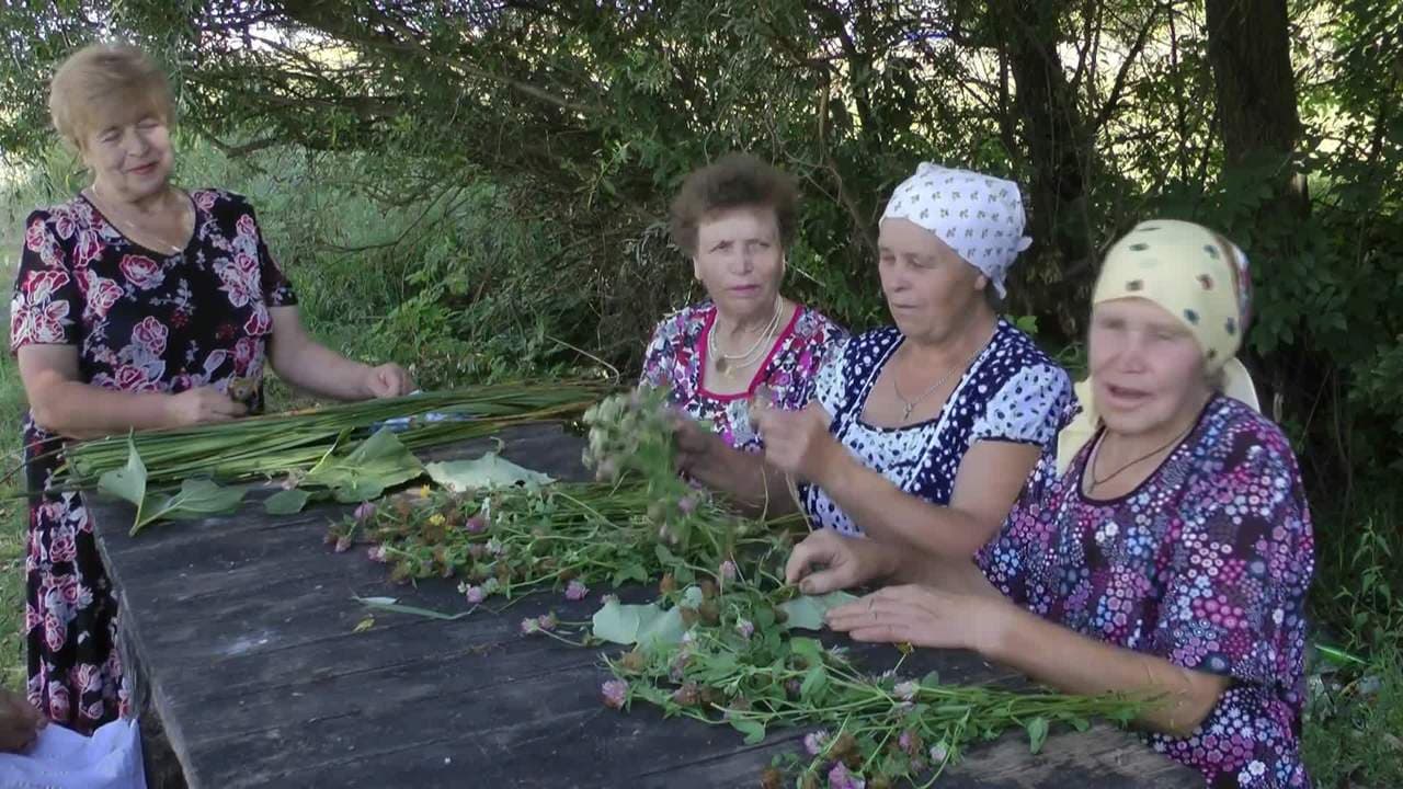 Обряд «похороны кукушки» в селе Колосково Валуйского района Белгородской  области