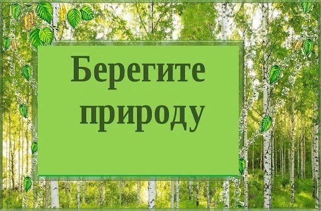 Классный час береги природу 3 класс презентация