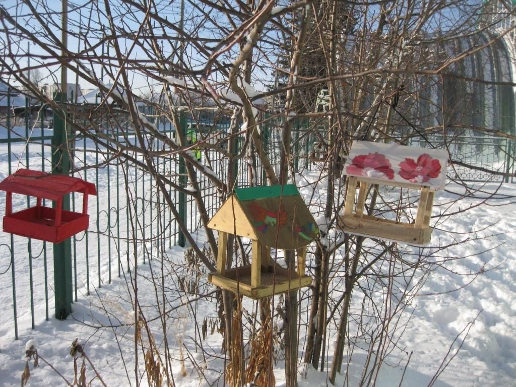 Фото птичья столовая в детском саду