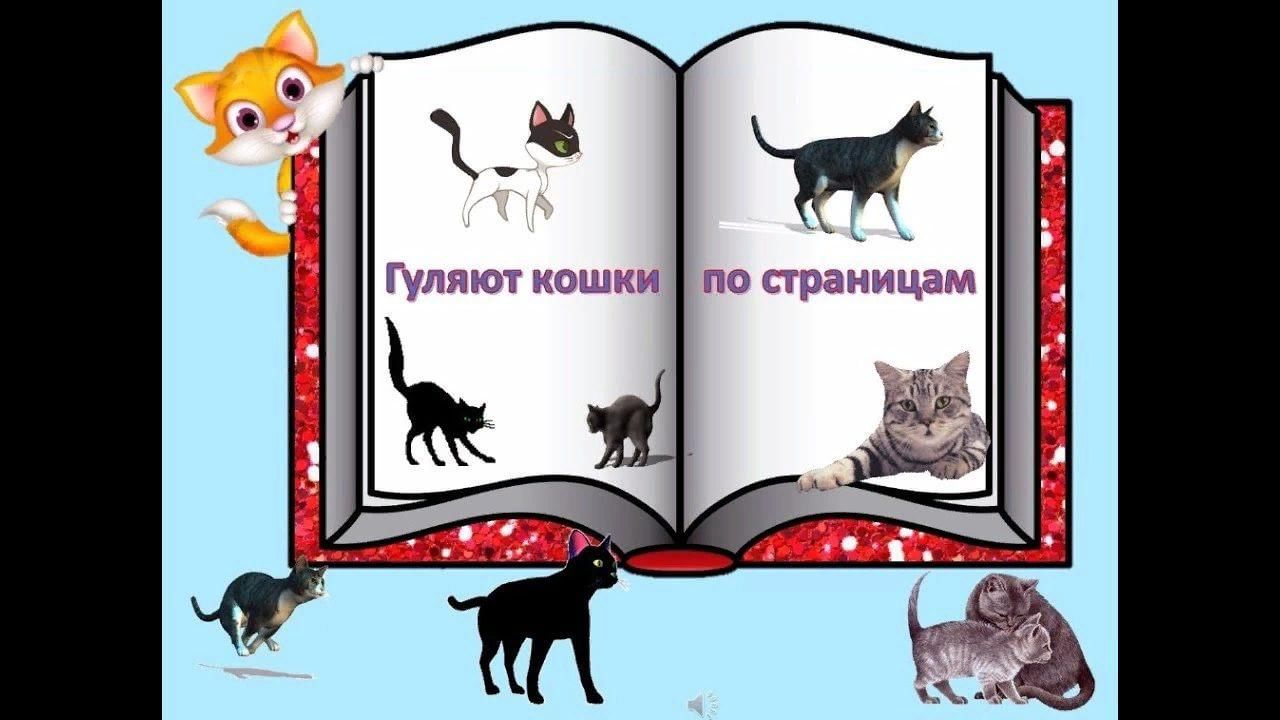 Кошка загуляла. Гуляют кошки по страницам. Гуляют кошки по страницам книг. Гуляют кошки по страницам книжная выставка. Заголовок гуляют кошки по страницам.