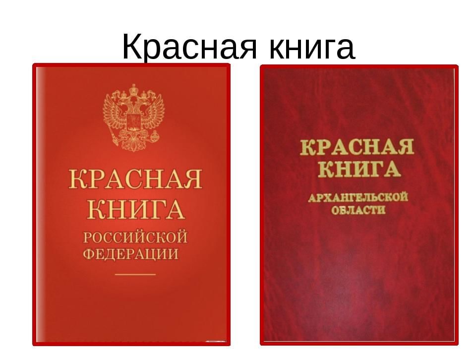 Красная книга российской федерации фото