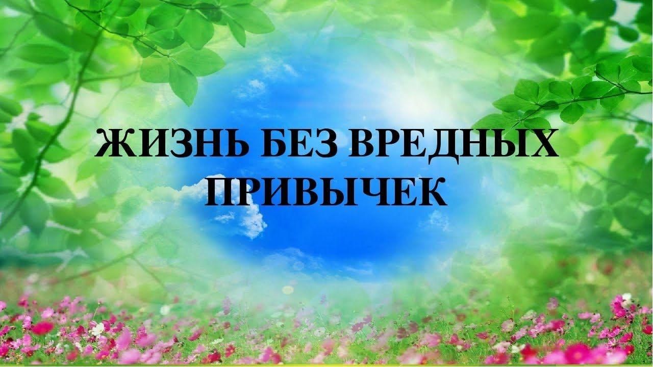 Жизнь прекрасна без. Толерантность спасет мир. Жизнь без вредных привычек. Презентация пристрастия уносящие жизнь. Цени свою жизнь.